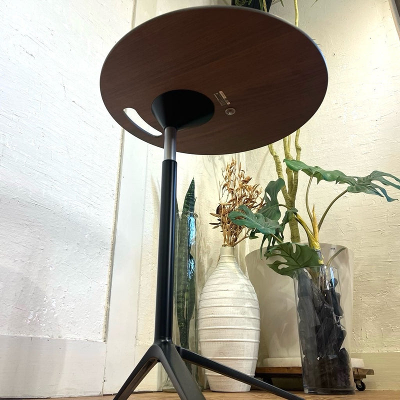 フリッツハンセン / FRITZ HANSEN リトルフレンドサイドテーブル デンマーク 中古